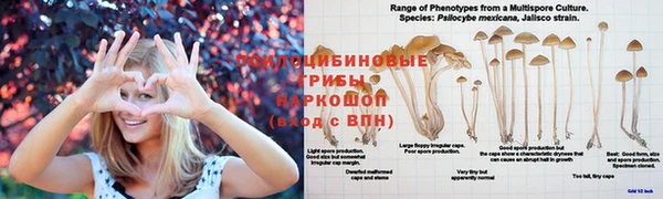 скорость Дмитровск