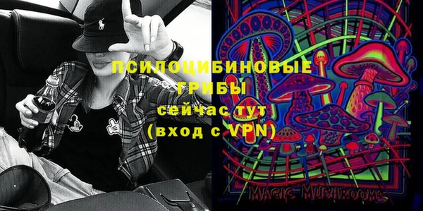гидра Алзамай
