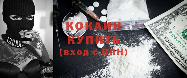 молекула духа Козельск